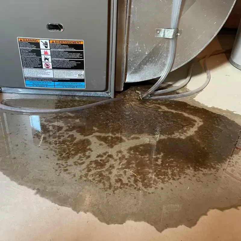 Appliance Leak Cleanup in Pantego, TX